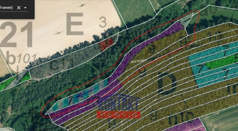 Prodej lesa, Kožlany - Hodyně, 16790 m2