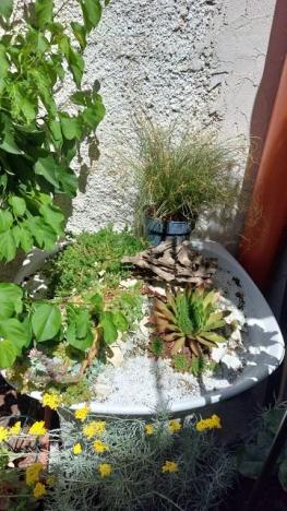 Prodej činžovního domu, Pardubice - Pardubice-Staré Město, Pernštýnská, 209 m2