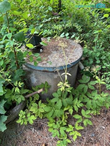 Prodej chaty, Planá - Zliv, 576 m2