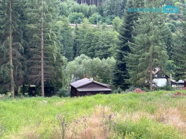 Prodej chaty, Planá - Zliv, 576 m2