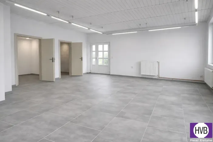 Prodej obchodního prostoru, Jílové u Prahy - Radlík, 159 m2