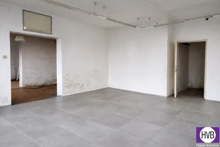 Prodej obchodního prostoru, Jílové u Prahy - Radlík, 159 m2