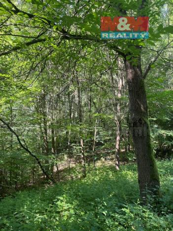 Prodej lesa, Mírová pod Kozákovem - Sekerkovy Loučky, 5461 m2