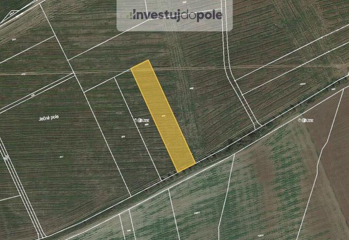 Prodej pole, Zbůch, 1090 m2