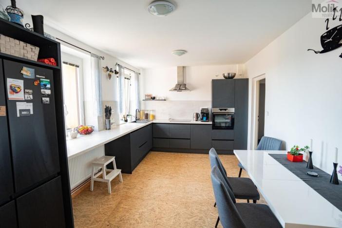 Prodej vícegeneračního domu, Most - Vtelno, Ke Kostelu, 730 m2