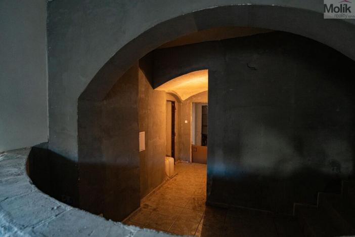 Prodej vícegeneračního domu, Most - Vtelno, Ke Kostelu, 730 m2