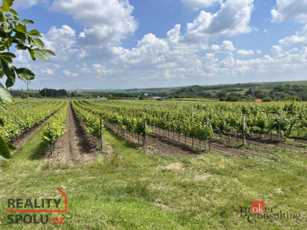 Prodej rodinného domu, Velké Bílovice, Rulandová, 70 m2