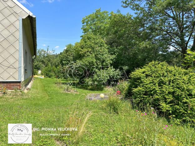 Prodej rodinného domu, Zlaté Hory, Alšova, 120 m2