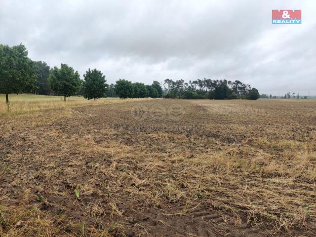 Prodej pole, Veletov, 12454 m2