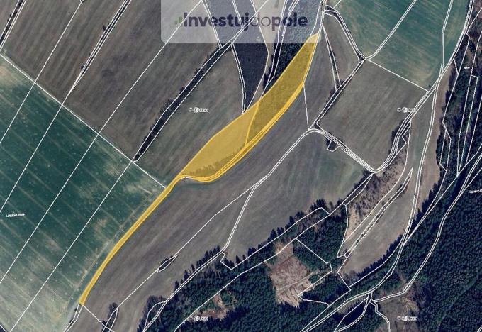 Prodej louky, Radiměř, 4554 m2