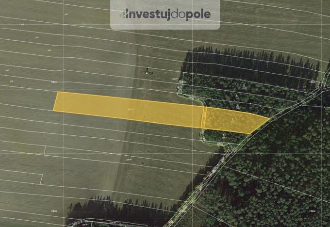 Prodej pole, Novosedly nad Nežárkou, 10295 m2