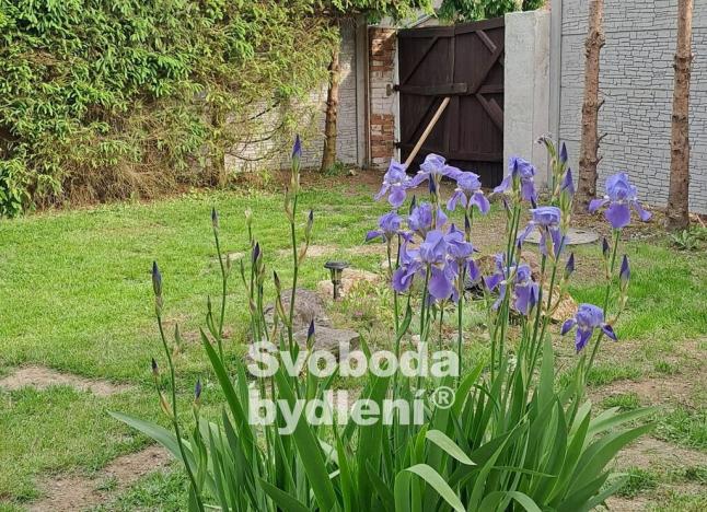 Prodej rodinného domu, Křečovice - Vlkonice, 66 m2