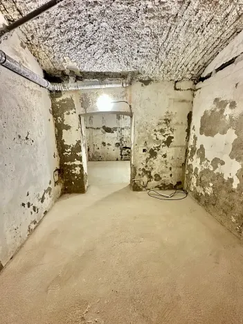 Prodej komerční nemovitosti, Praha - Břevnov, Heleny Malířové, 63 m2