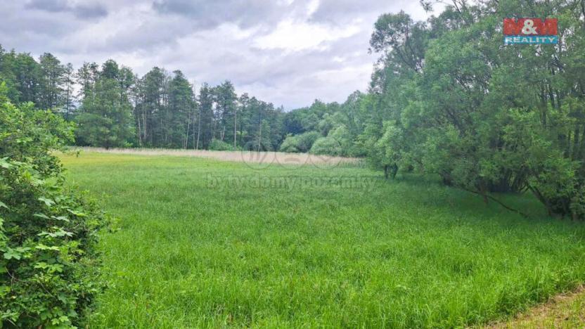 Prodej louky, Česká Lípa - Manušice, 8523 m2