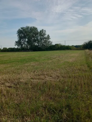 Prodej pole, Kostelec nad Labem, 5022 m2