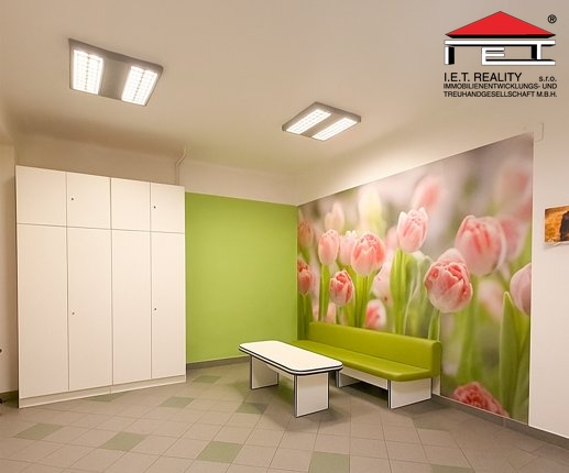 Pronájem ordinace, Brno, Orlí, 113 m2