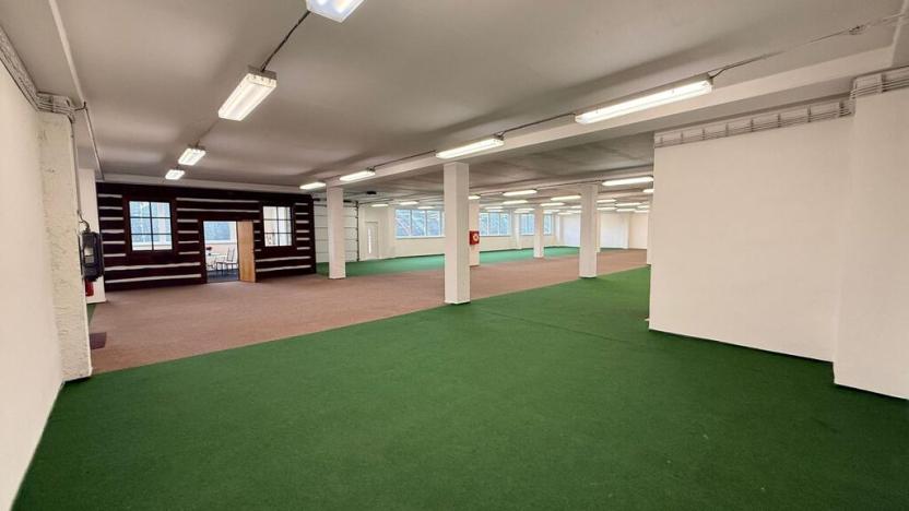 Pronájem obchodního prostoru, Polepy, 1200 m2