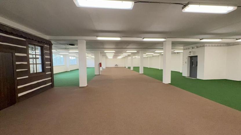 Pronájem obchodního prostoru, Polepy, 1200 m2