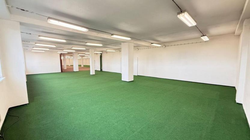 Pronájem obchodního prostoru, Polepy, 1200 m2