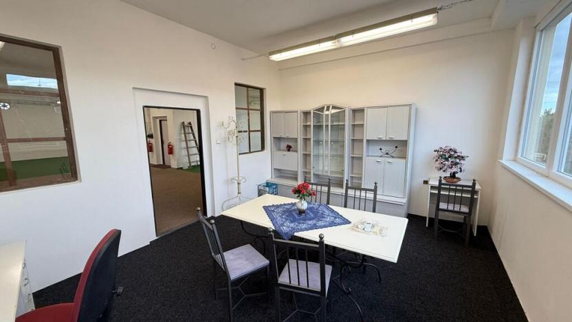 Pronájem obchodního prostoru, Polepy, 1200 m2