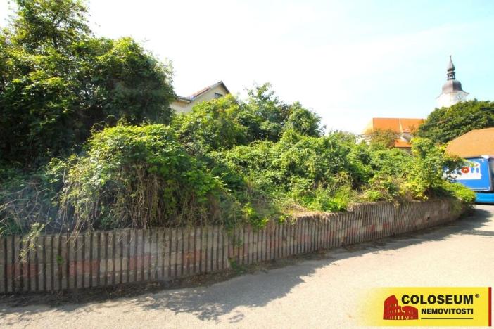 Prodej - jiné, Hrušovany nad Jevišovkou, 36 m2