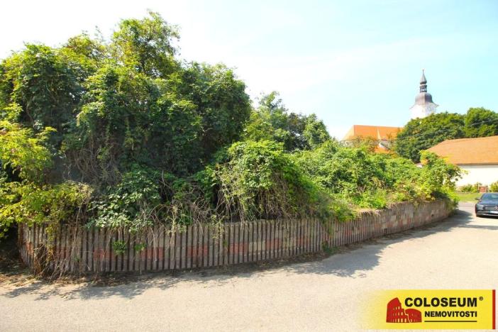 Prodej - jiné, Hrušovany nad Jevišovkou, 36 m2