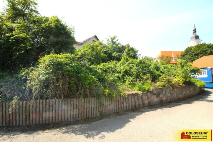 Prodej - jiné, Hrušovany nad Jevišovkou, 36 m2