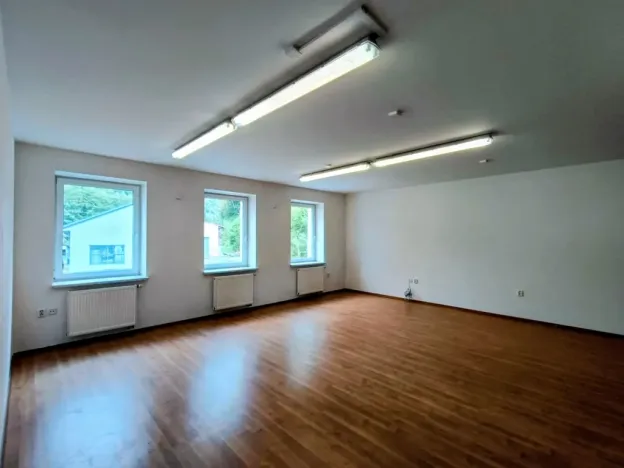 Pronájem rodinného domu, Hanušovice, Hynčická, 320 m2