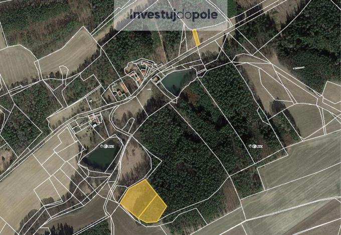 Prodej louky, Neveklov - Bělice, 8722 m2