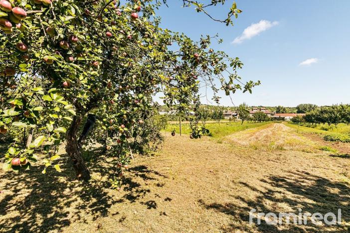 Prodej rodinného domu, Mutěnice, Brněnská, 109 m2