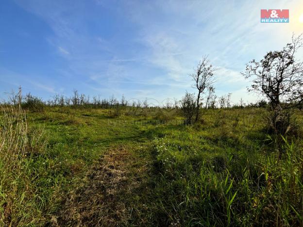 Prodej pole, Liběšice - Dolní Nezly, 25918 m2