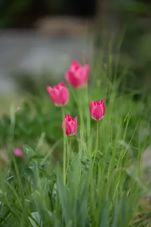 Prodej rodinného domu, Kladno, 28. října, 163 m2