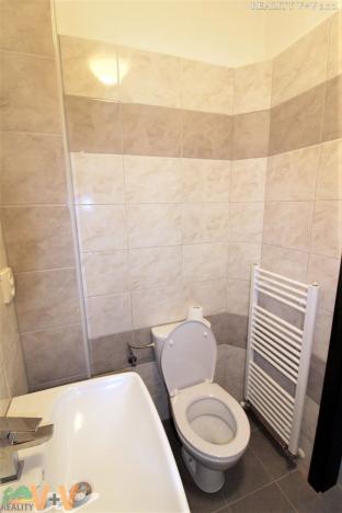 Pronájem bytu 1+1, České Budějovice - České Budějovice 7, Plavská, 44 m2