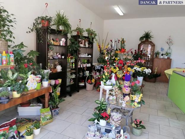 Pronájem obchodního prostoru, Orlová, Slezská, 54 m2