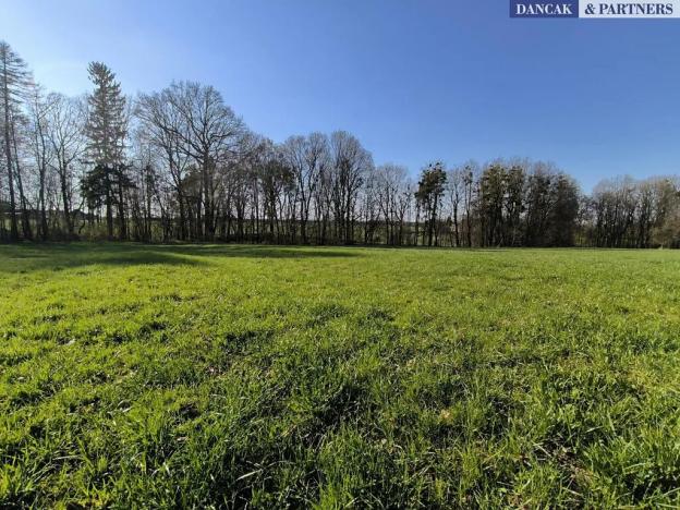 Prodej pozemku pro bydlení, Dolní Domaslavice, 2891 m2