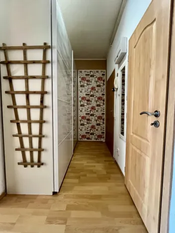 Pronájem bytu 1+1, Ostrava - Přívoz, Macharova, 46 m2