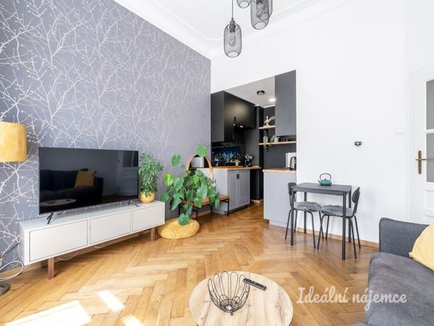 Pronájem bytu 2+kk, Praha - Nové Město, Truhlářská, 33 m2