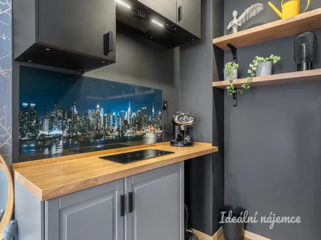 Pronájem bytu 2+kk, Praha - Nové Město, Truhlářská, 33 m2