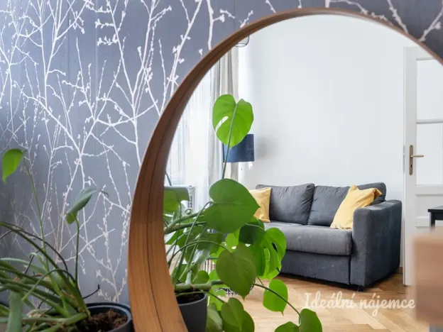 Pronájem bytu 2+kk, Praha - Nové Město, Truhlářská, 33 m2