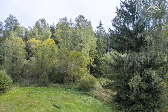 Prodej lesa, Všeradov, 2232 m2
