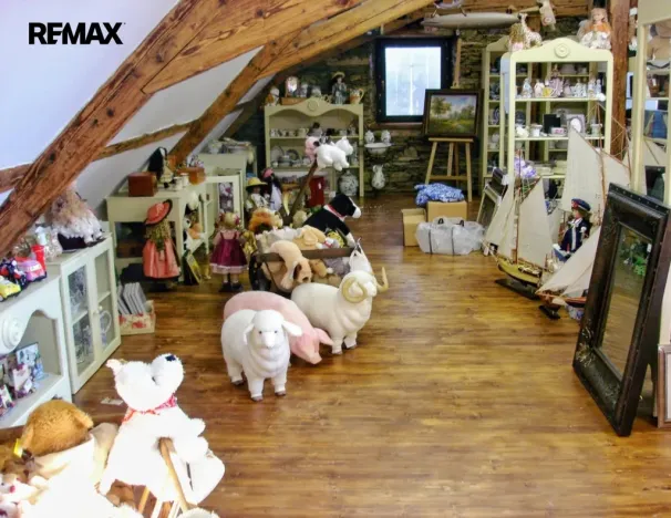 Prodej vícegeneračního domu, Znojmo - Kasárna, 790 m2