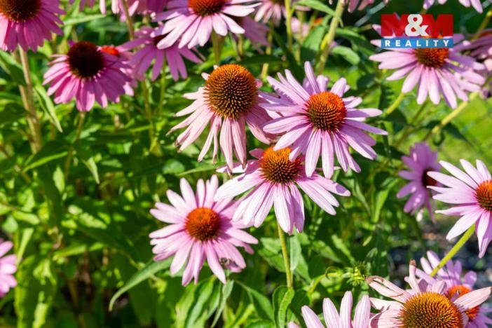 Prodej rodinného domu, Ostrava - Slezská Ostrava, Na Vizině, 120 m2