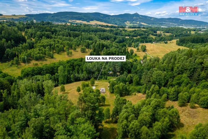 Prodej pozemku, Dlouhý Most, 8531 m2