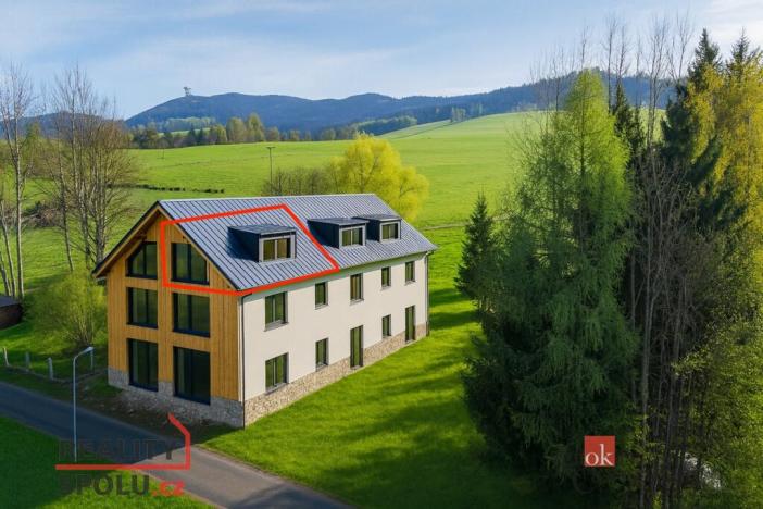 Prodej bytu 1+kk, Dolní Morava - Velká Morava, 46 m2