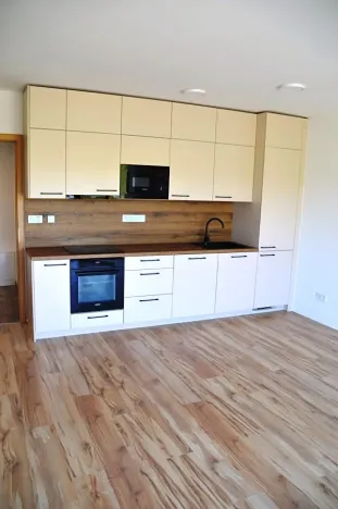 Prodej bytu 2+kk, Litomyšl, Z. Kopala, 50 m2