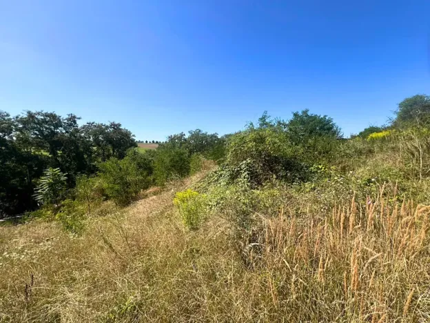 Prodej pozemku pro bydlení, Úholičky, 800 m2