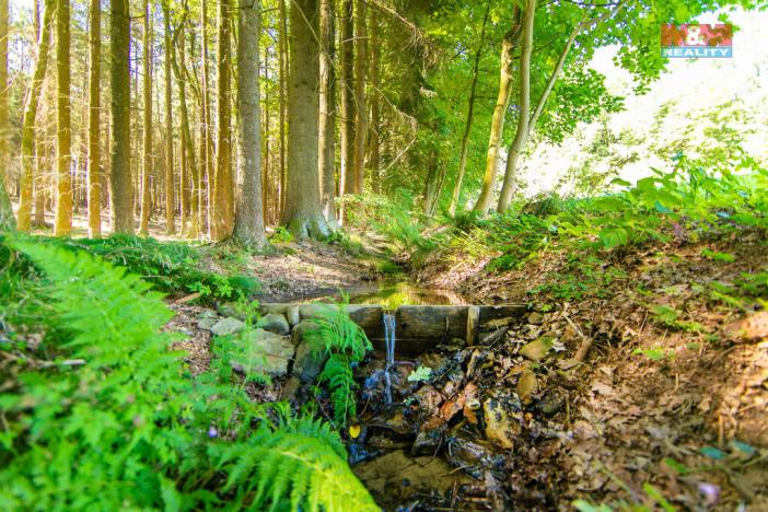 Prodej pozemku pro bydlení, Pec, 7125 m2