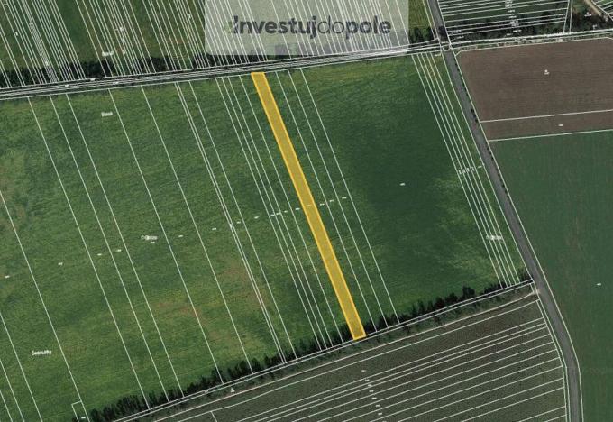 Prodej pole, Lipov, 4290 m2