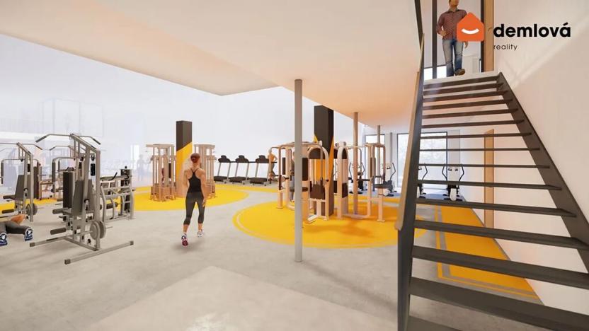 Pronájem komerční nemovitosti, Orlová, Polní, 435 m2