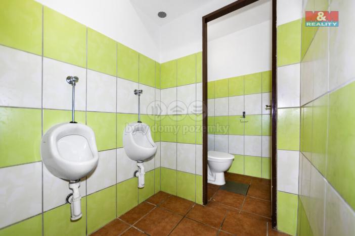 Pronájem obchodního prostoru, Domažlice - Dolejší Předměstí, Husova třída, 600 m2